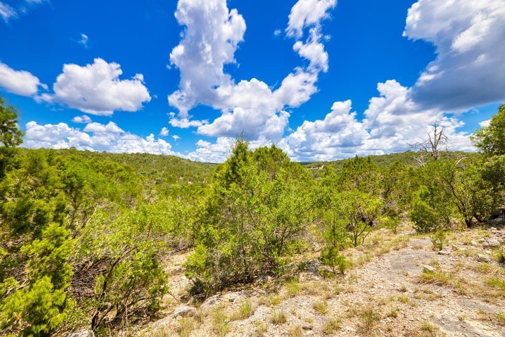 73.64 acres in Real County - photo 19