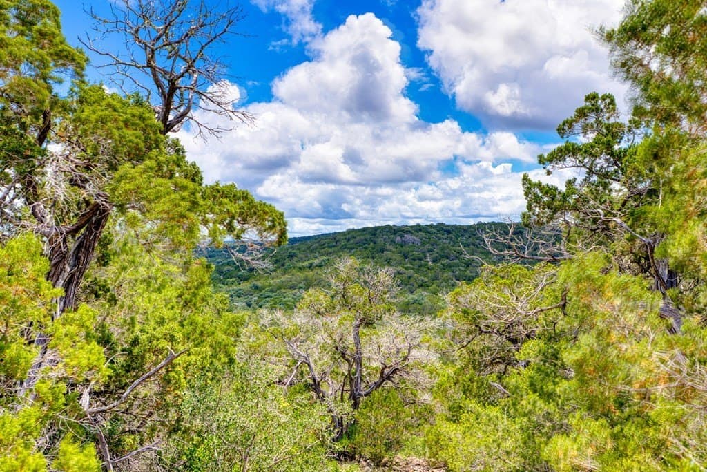 73.64 acres in Real County - photo 18