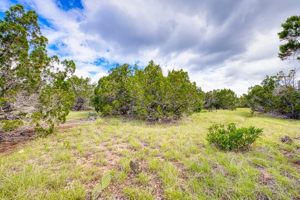 73.64 acres in Real County - photo 9