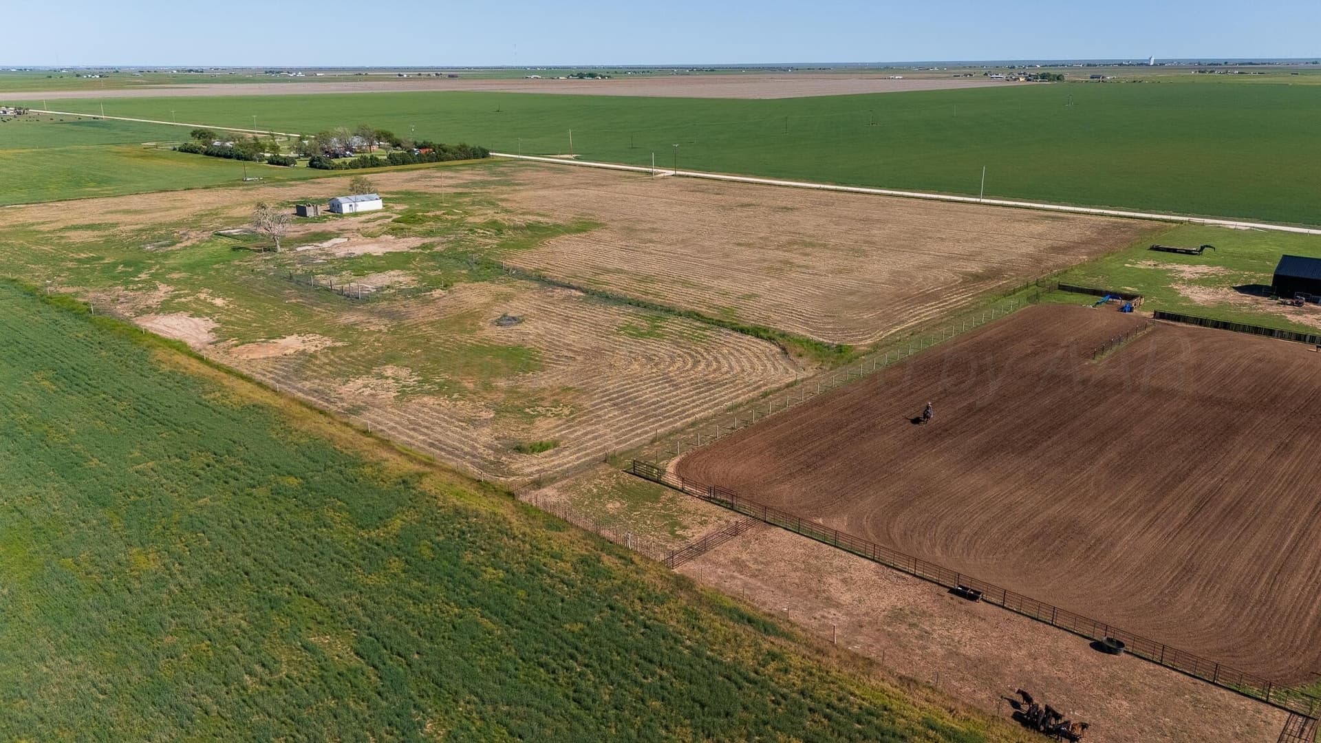 12.45 acres in Randall County featured view