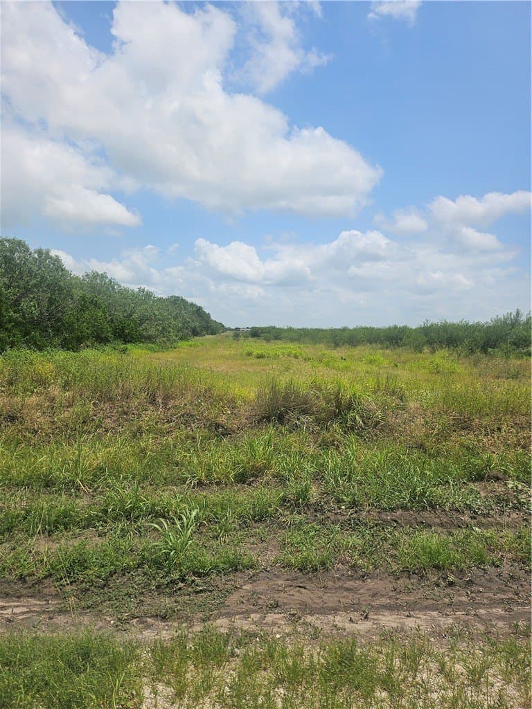 22.86 acres in Jim Wells County gallery image 2