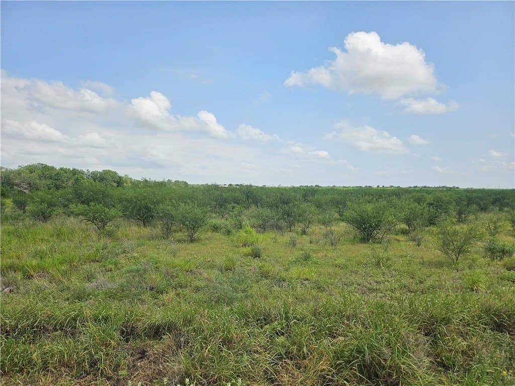 22.86 acres in Jim Wells County - photo 6