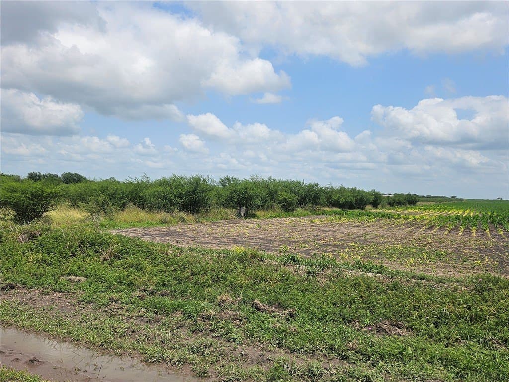 22.86 acres in Jim Wells County featured view