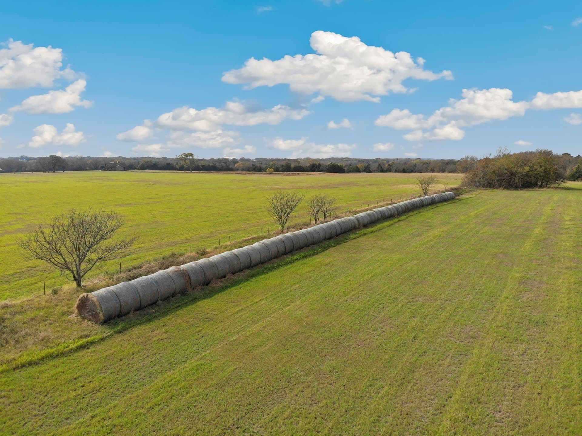 21.86 acres in Grayson County gallery image 4