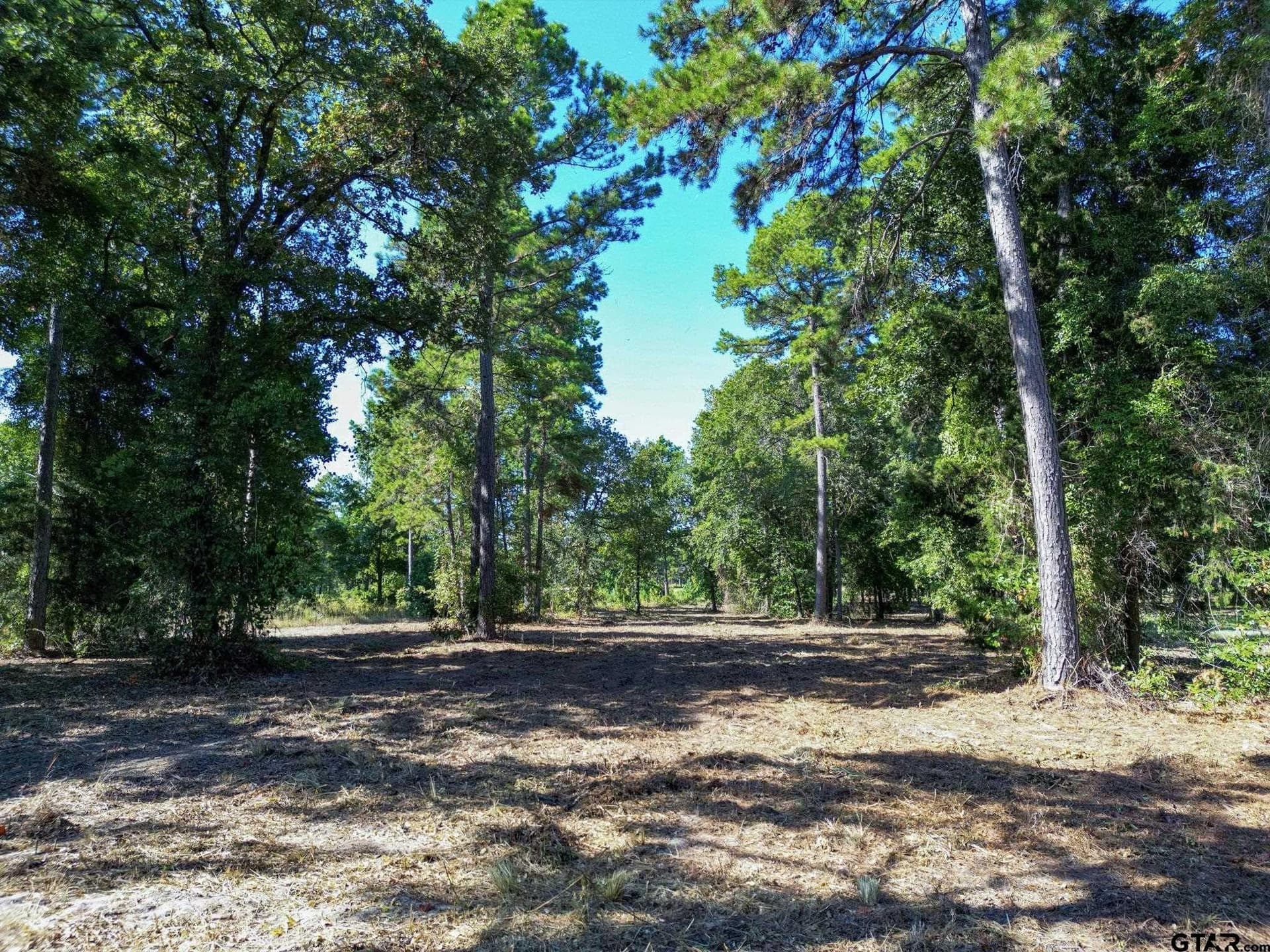 1.44 acres in Henderson County featured view