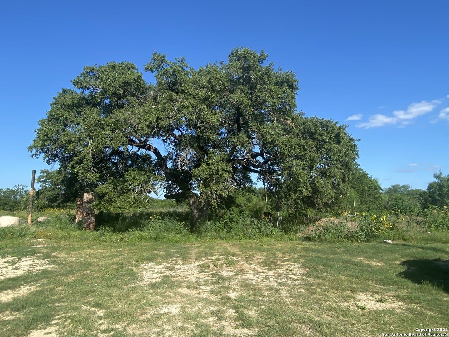 10 acres in Bexar County featured view