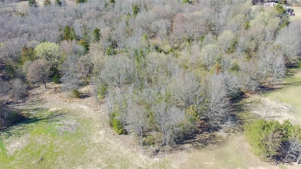 21.01 acres in Titus County gallery image 3