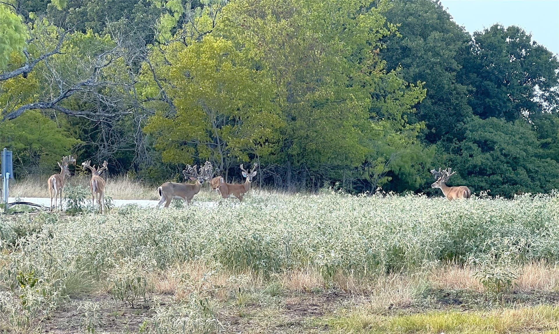 364.17 acres in Kaufman County - photo 40