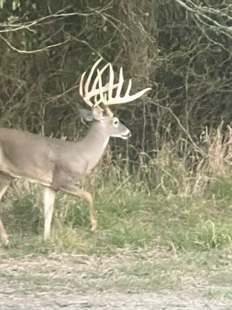 364.17 acres in Kaufman County