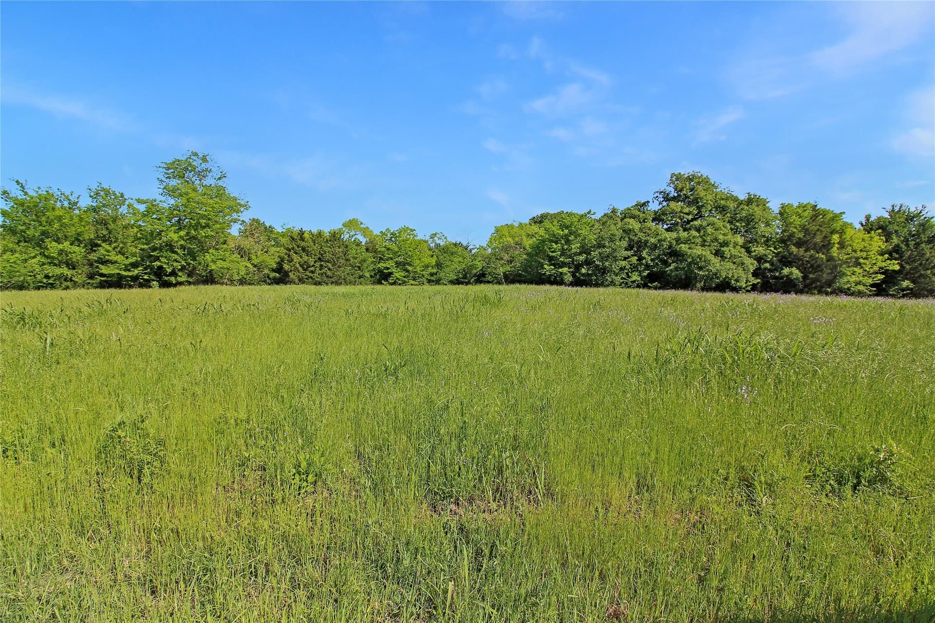 364.17 acres in Kaufman County - photo 14