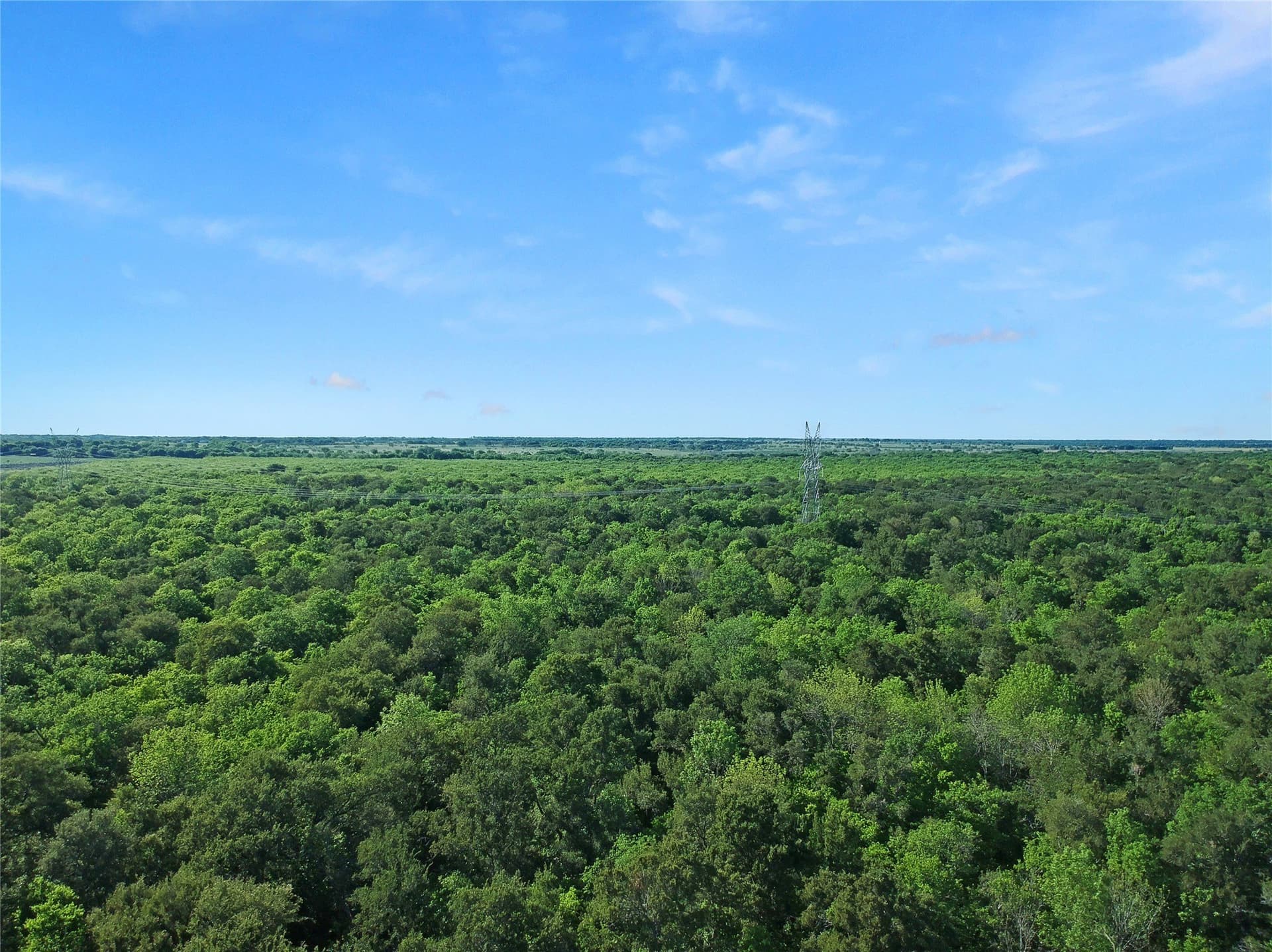 364.17 acres in Kaufman County gallery image 3