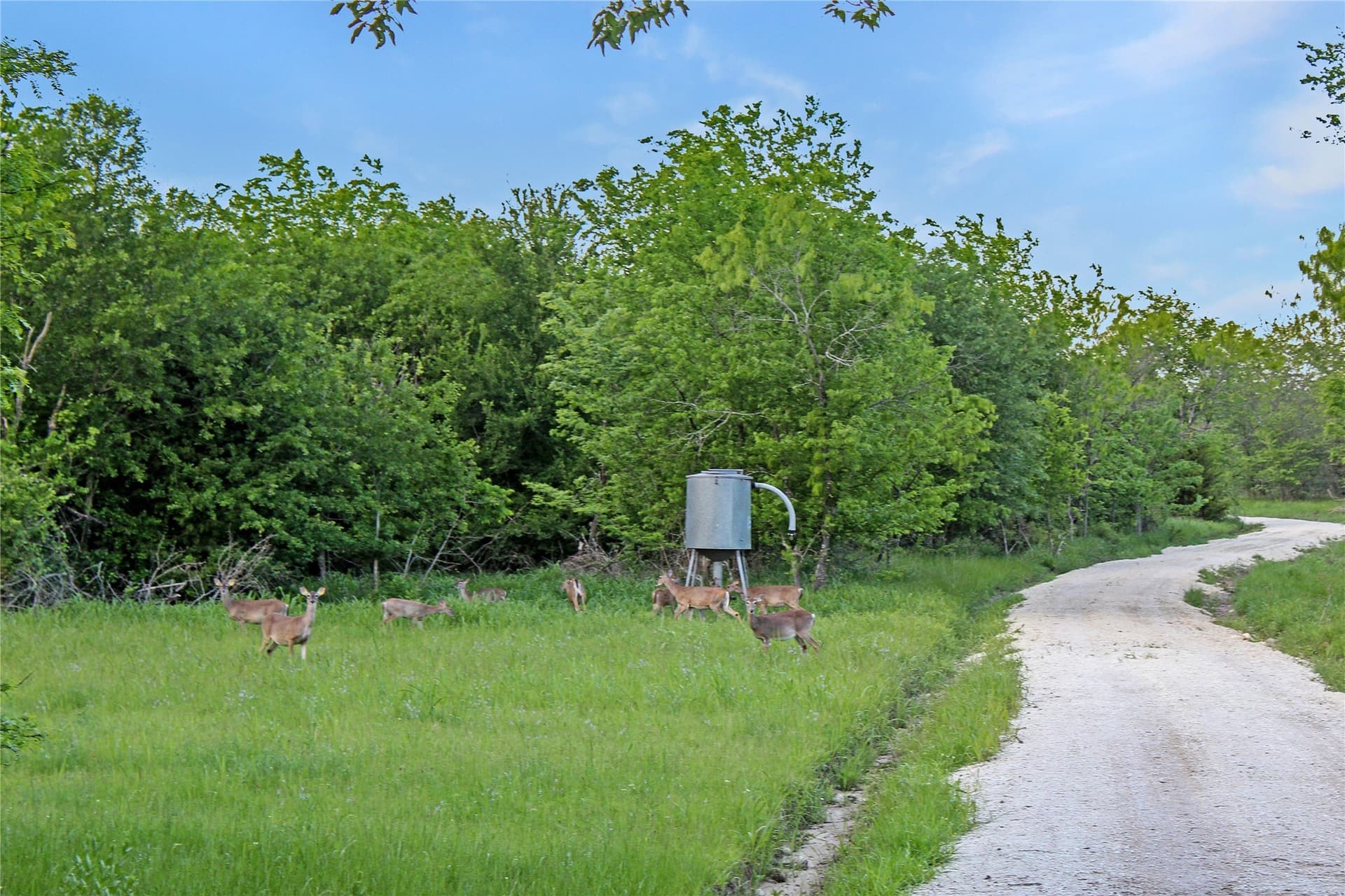 364.17 acres in Kaufman County - photo 38