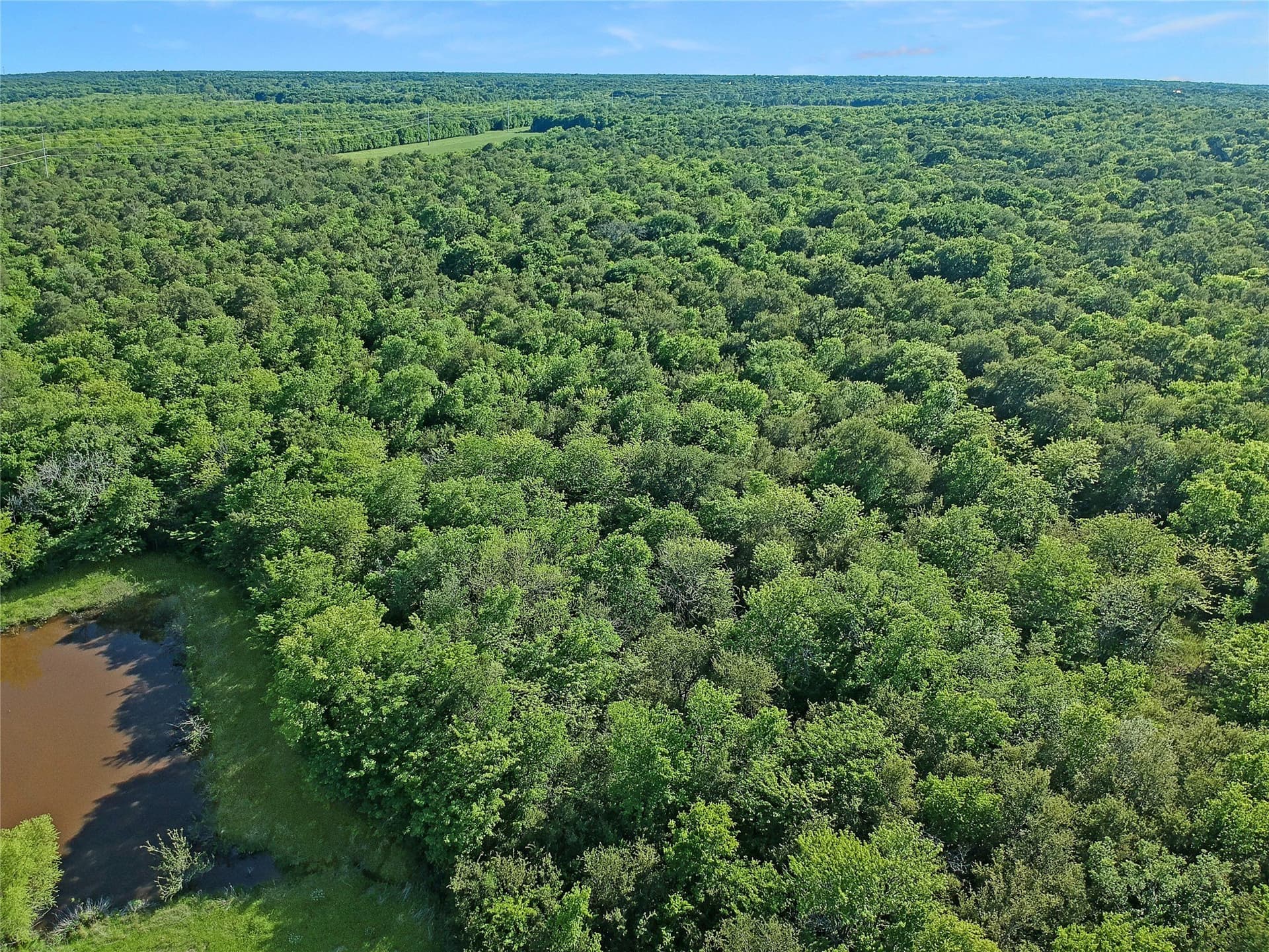 364.17 acres in Kaufman County - photo 9