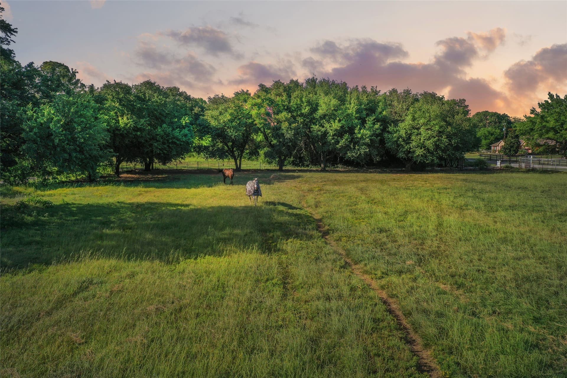 13.25 acres in Denton County gallery image 3