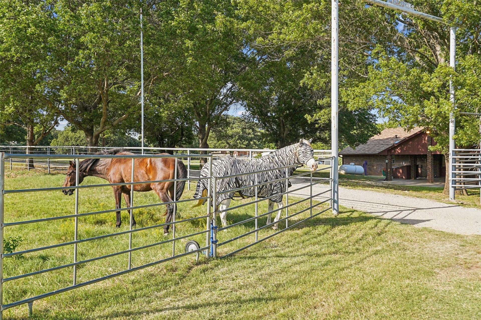 13.25 acres in Denton County - photo 31