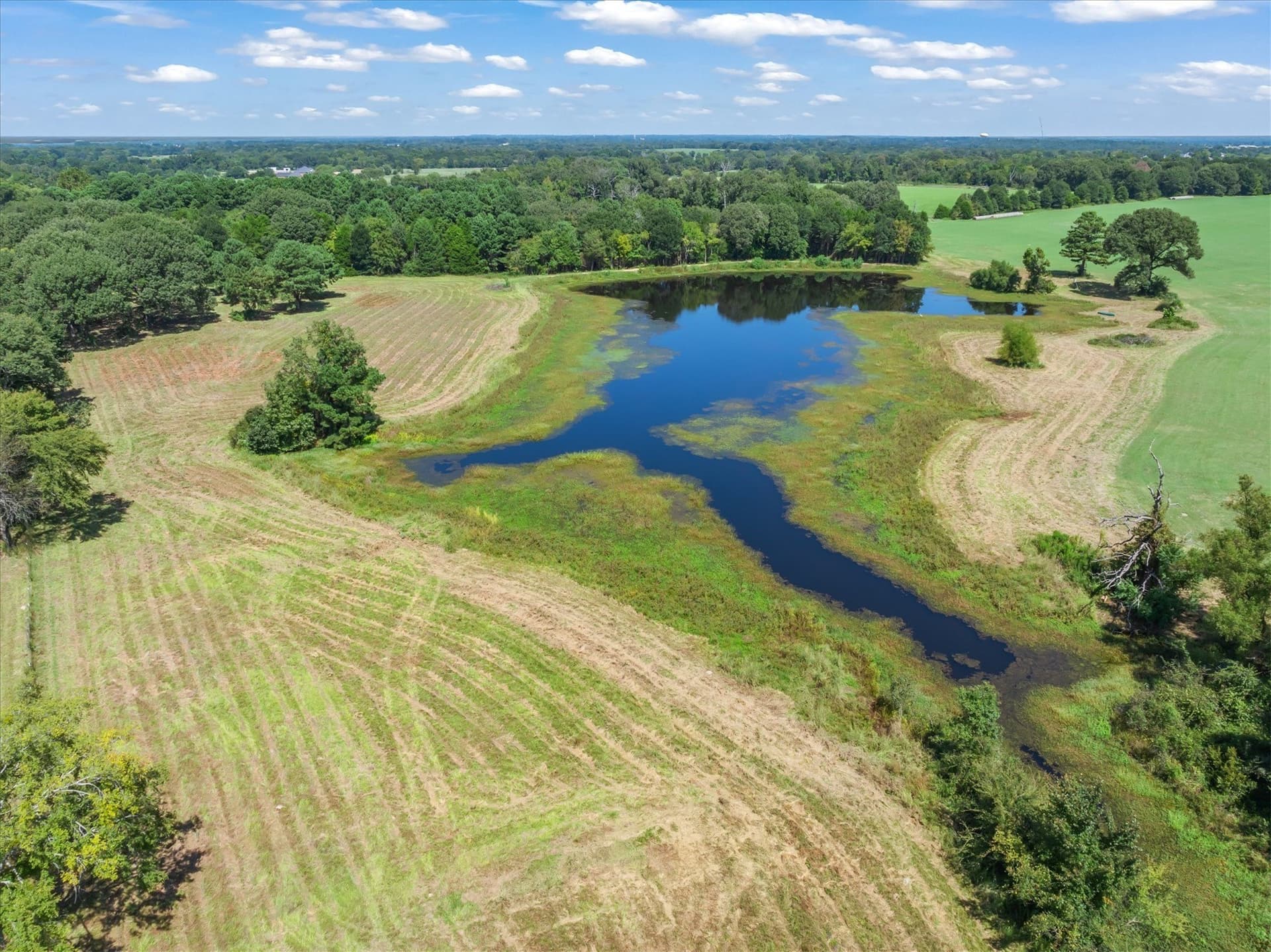 21 acres in Van Zandt County - photo 9