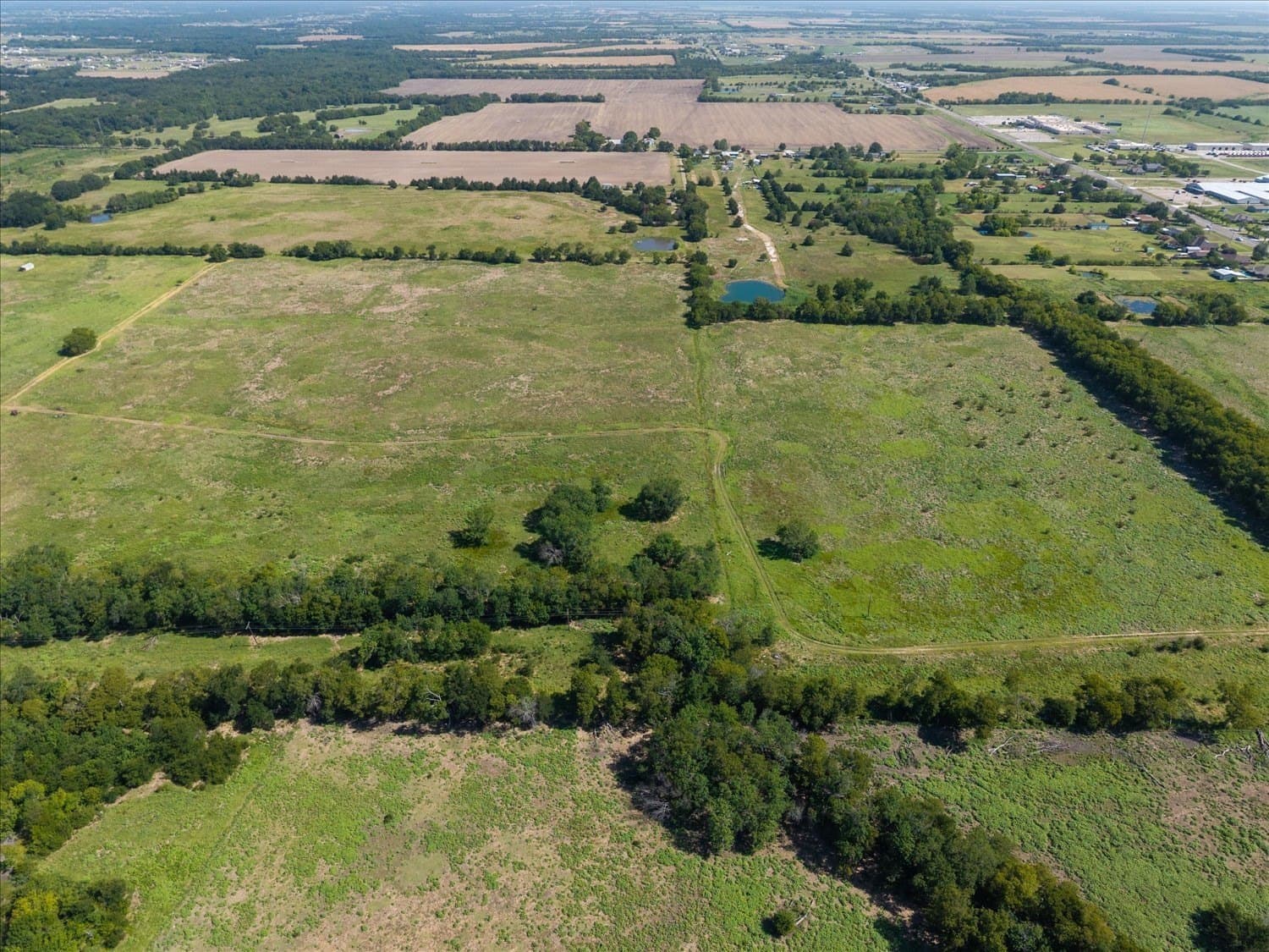75 acres in Hunt County - photo 9