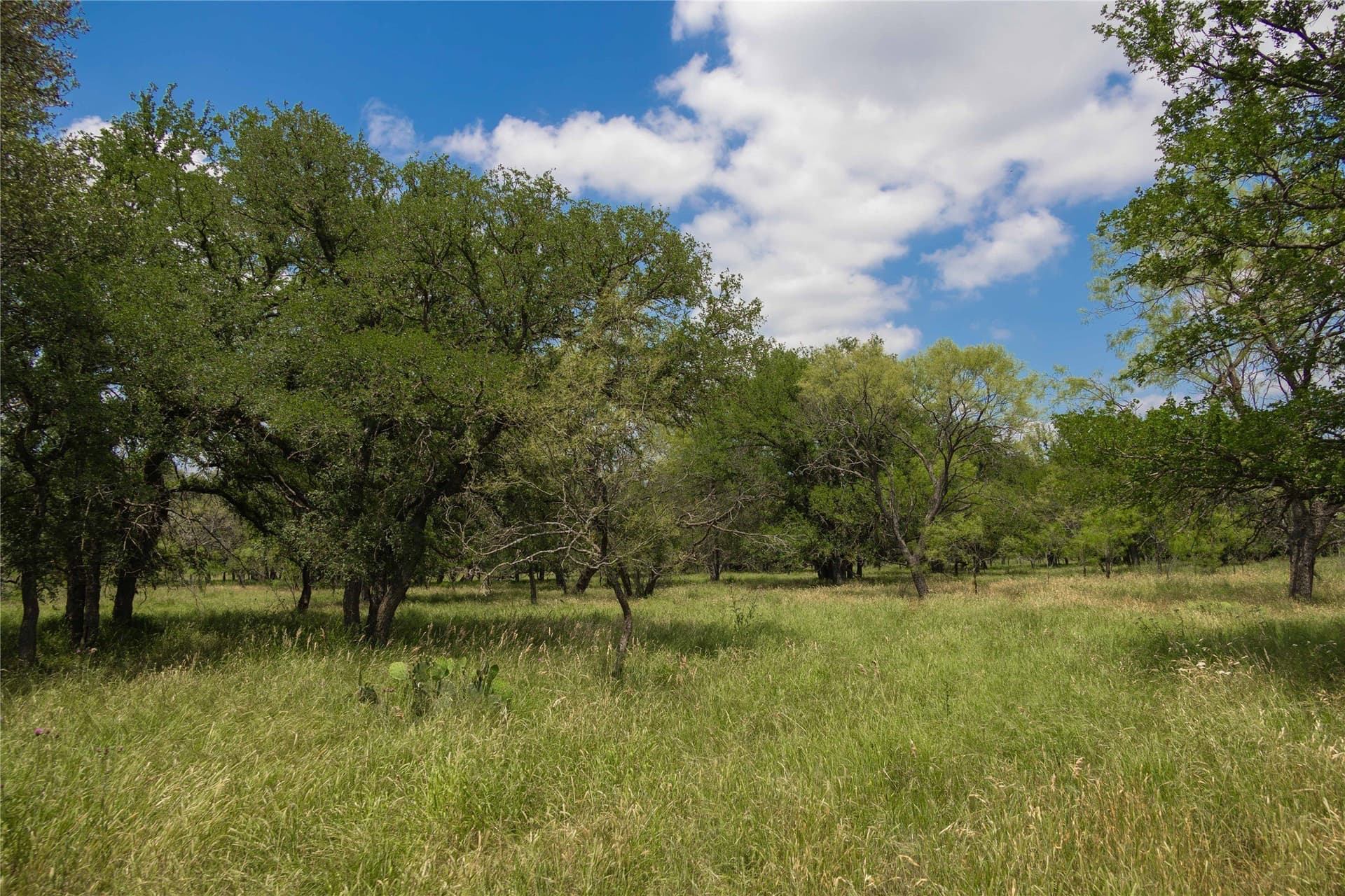 74.16 acres in Brown County - photo 22