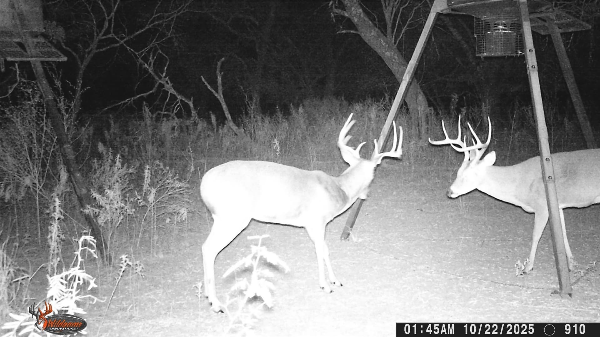 74.16 acres in Brown County - photo 7
