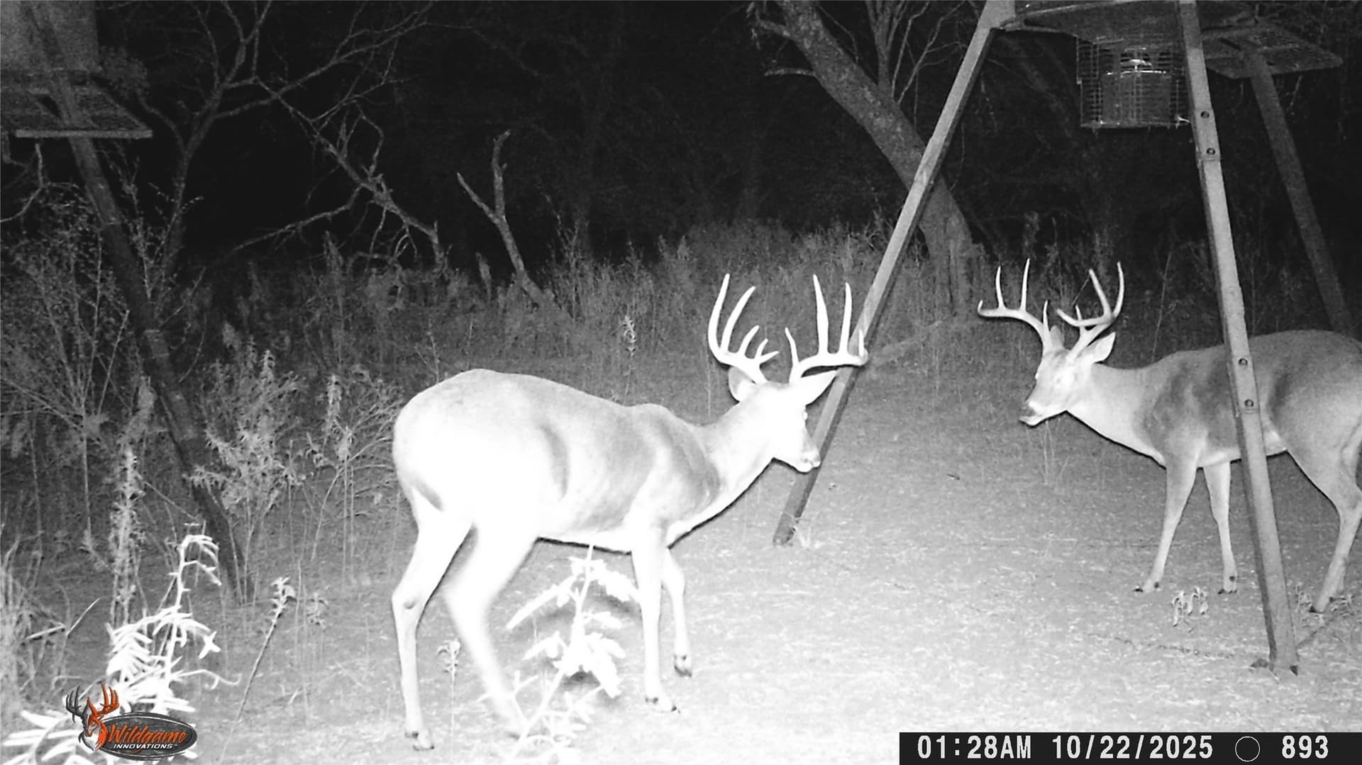 74.16 acres in Brown County - photo 4