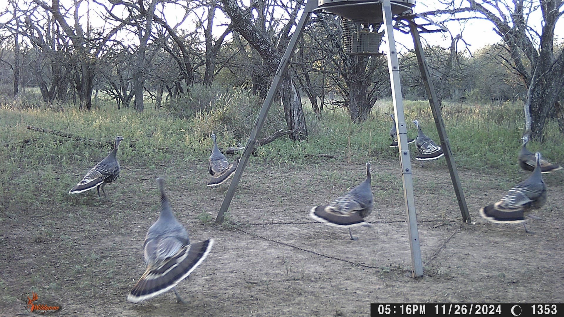74.16 acres in Brown County - photo 8
