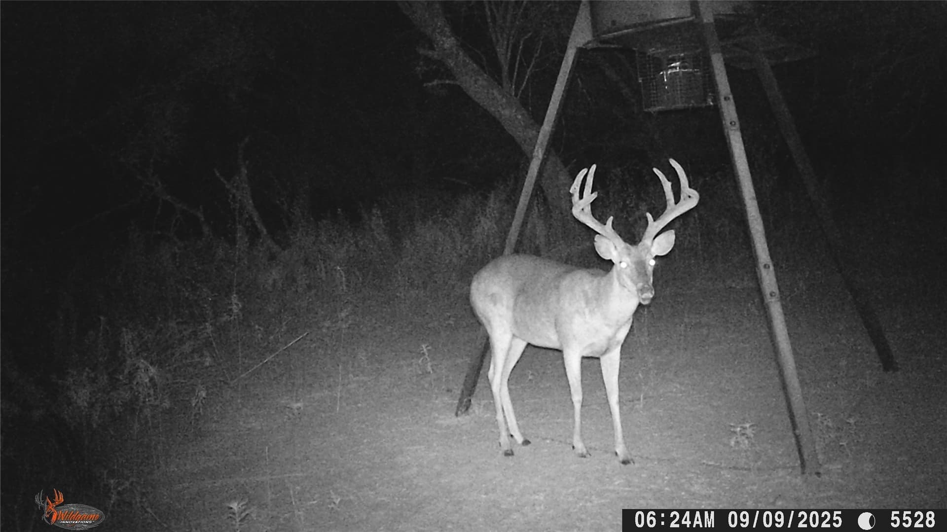 74.16 acres in Brown County - photo 12