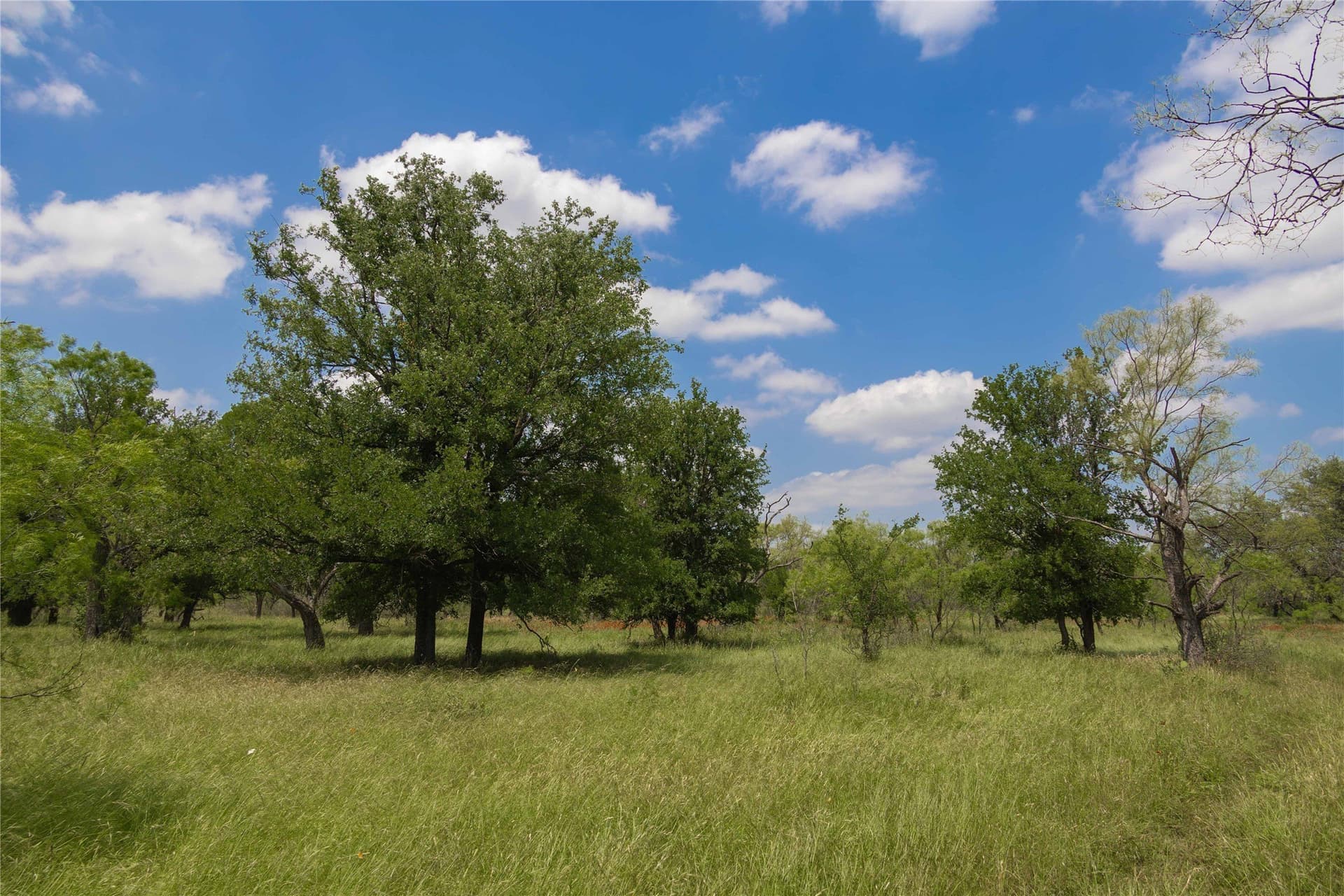 74.16 acres in Brown County - photo 20