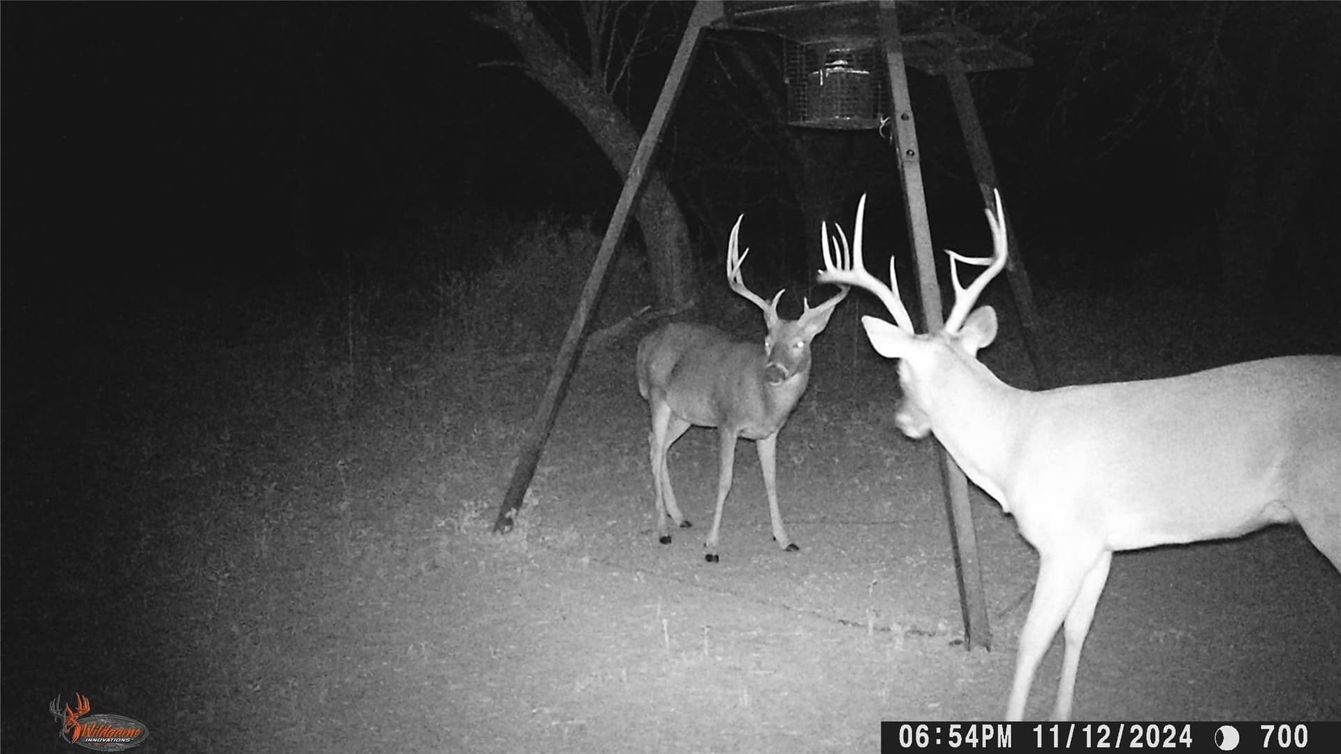 74.16 acres in Brown County - photo 9
