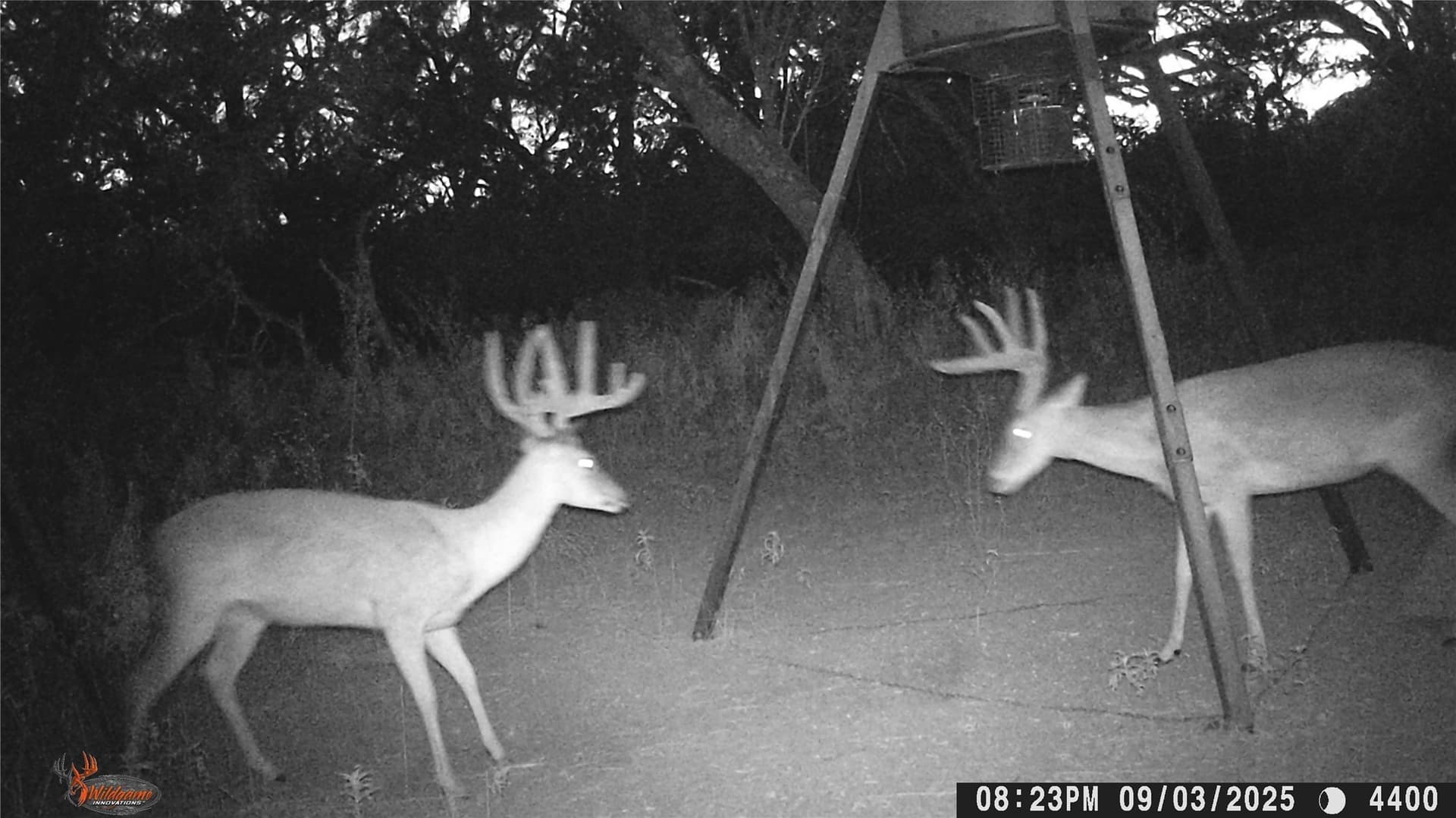 74.16 acres in Brown County - photo 16