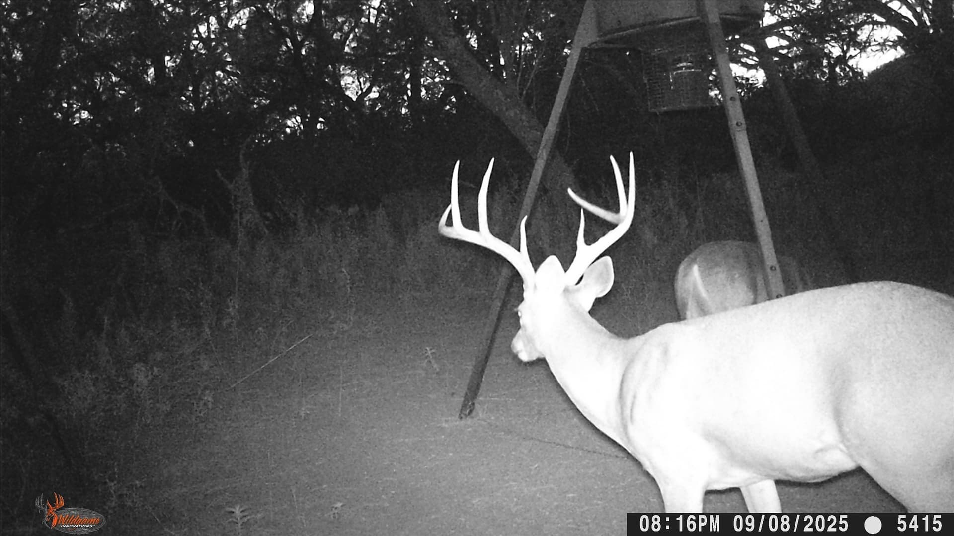 74.16 acres in Brown County - photo 10