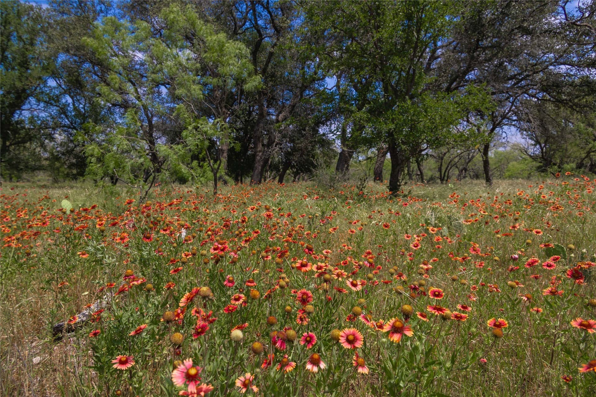 74.16 acres in Brown County - photo 19