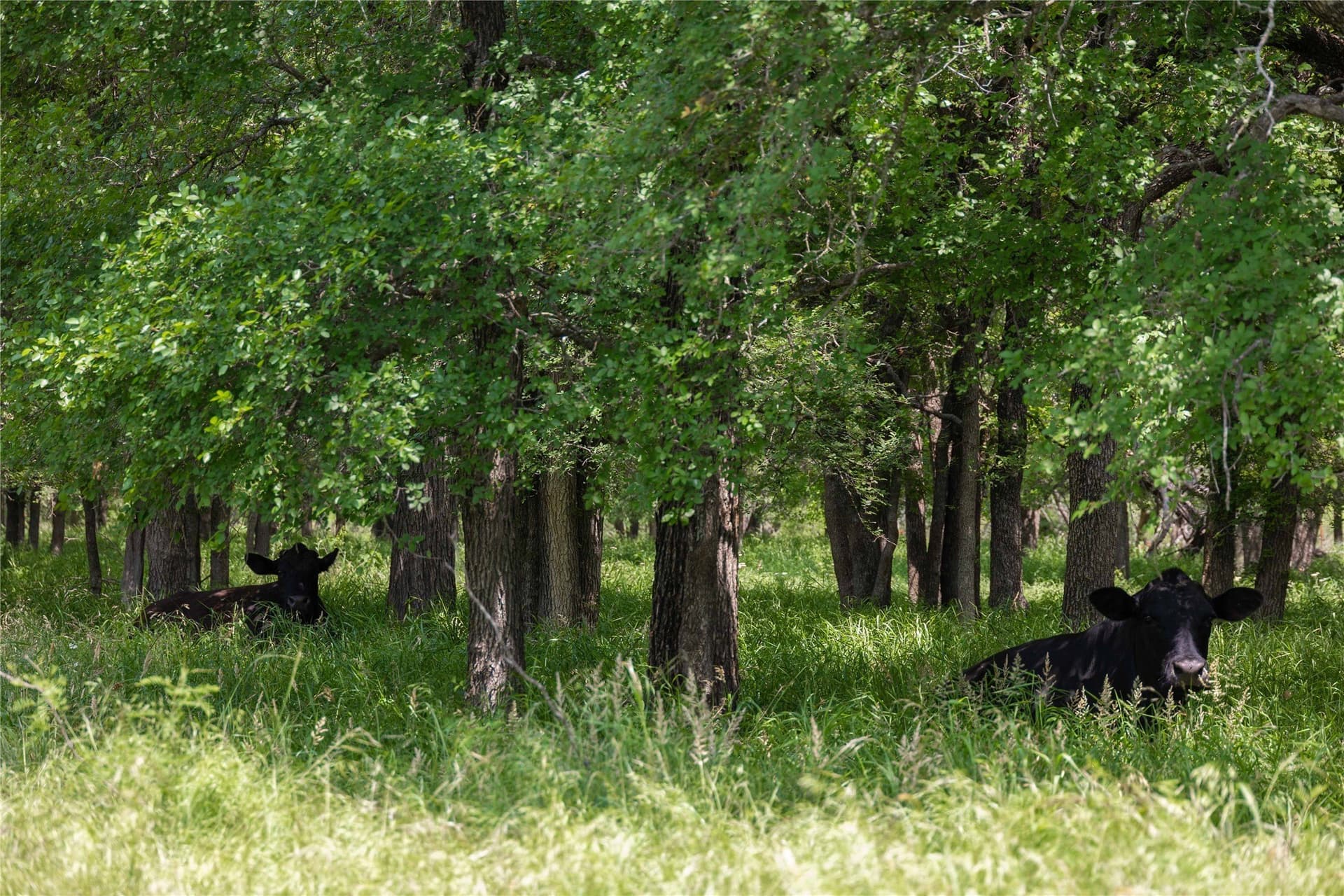 74.16 acres in Brown County - photo 23