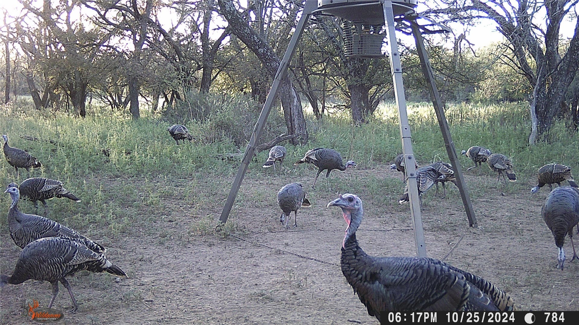74.16 acres in Brown County - photo 30