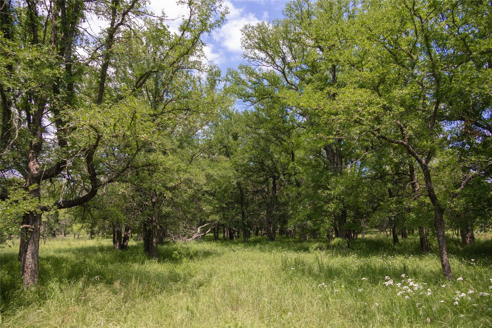 74.16 acres in Brown County - photo 24