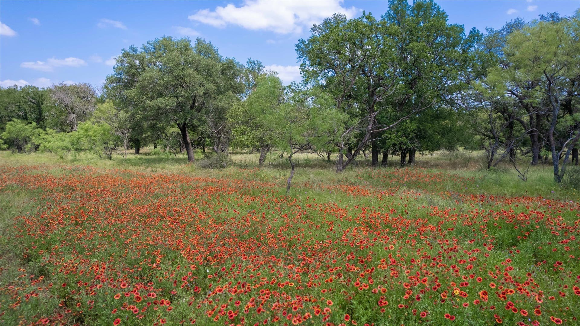 74.16 acres in Brown County - photo 14