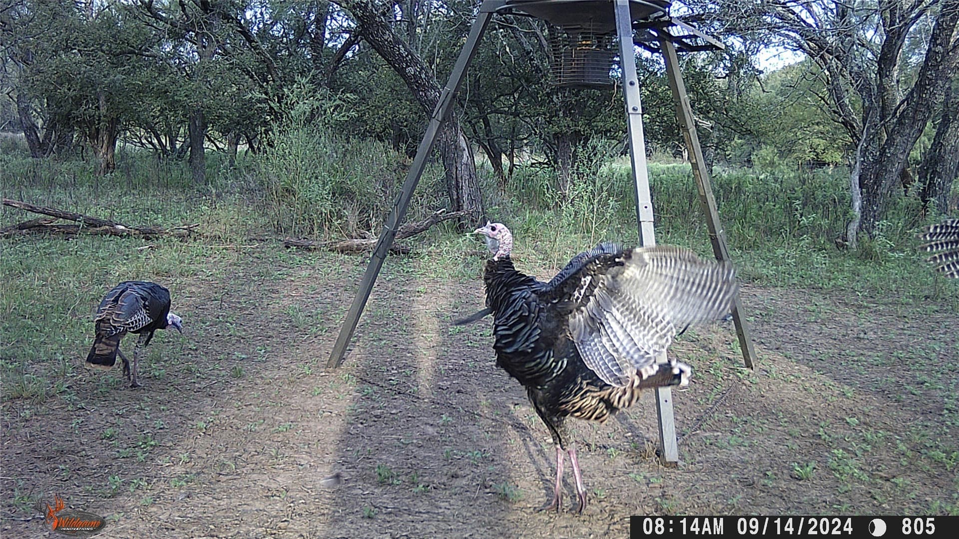 74.16 acres in Brown County - photo 33