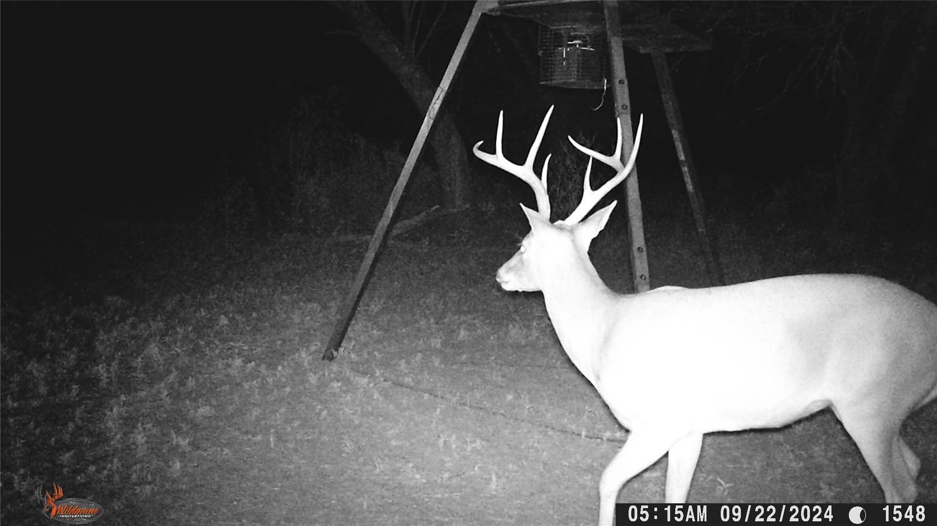 74.16 acres in Brown County - photo 34
