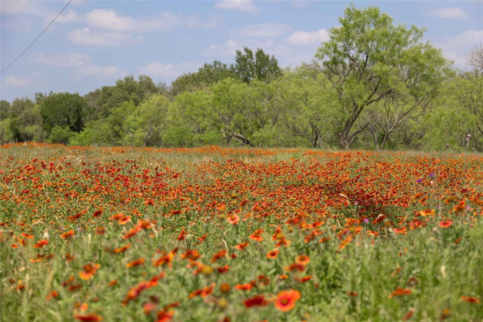 74.16 acres in Brown County - photo 28