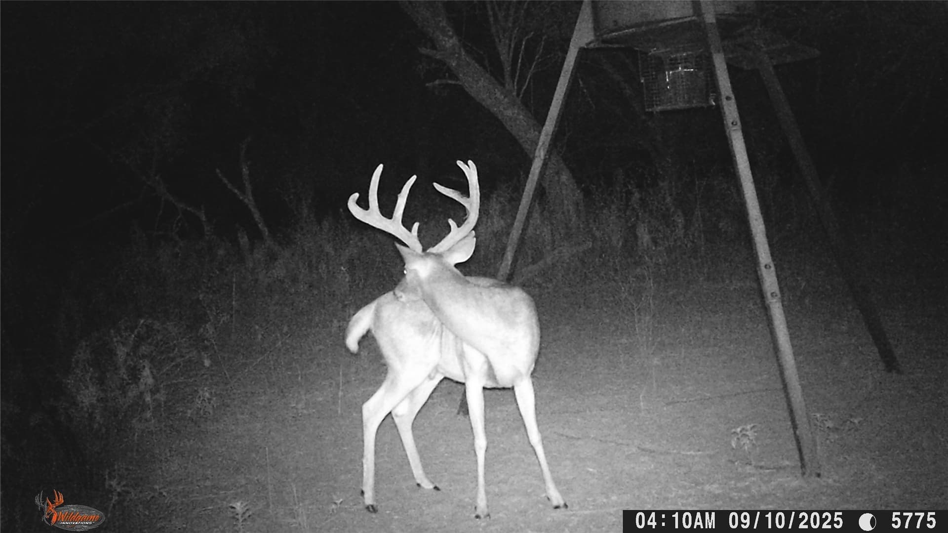 74.16 acres in Brown County - photo 11