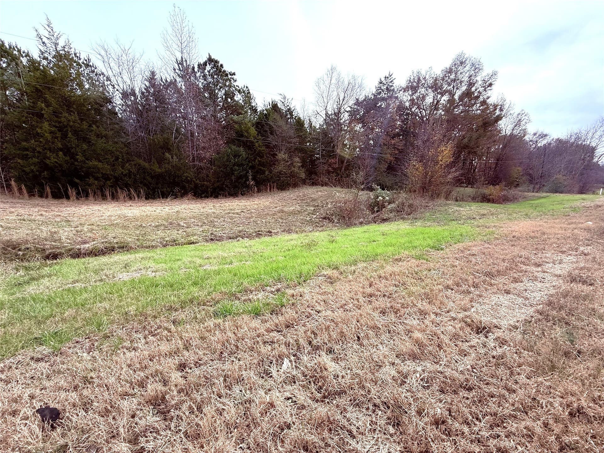 6.68 acres in Wood County gallery image 2