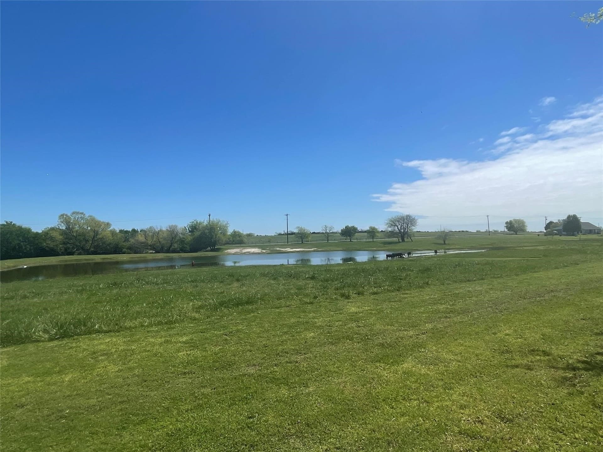 12 acres in Grayson County - photo 32