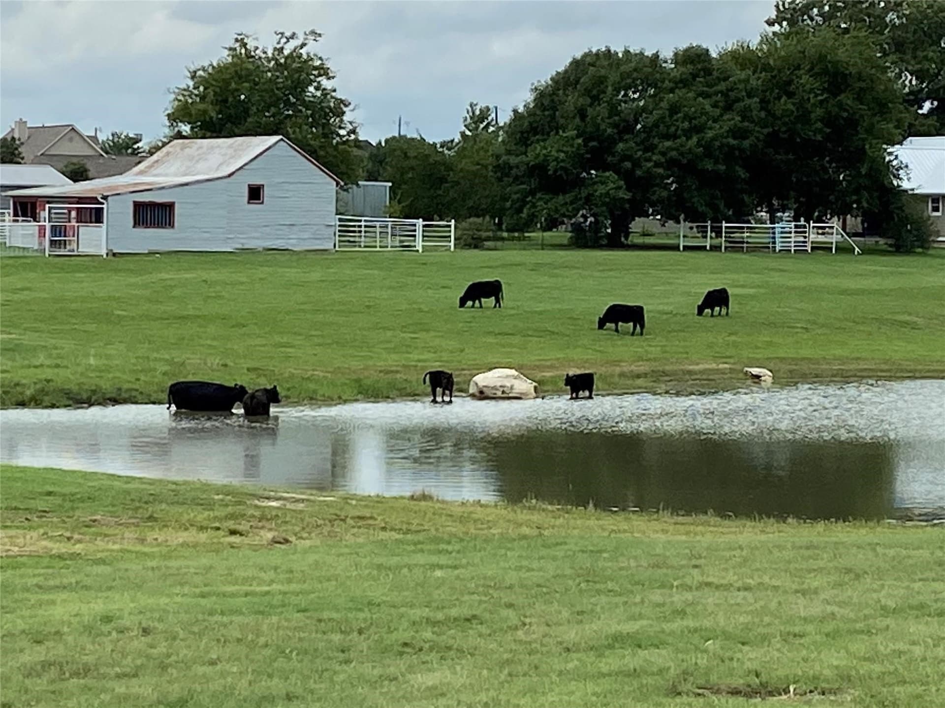 12 acres in Grayson County - photo 30