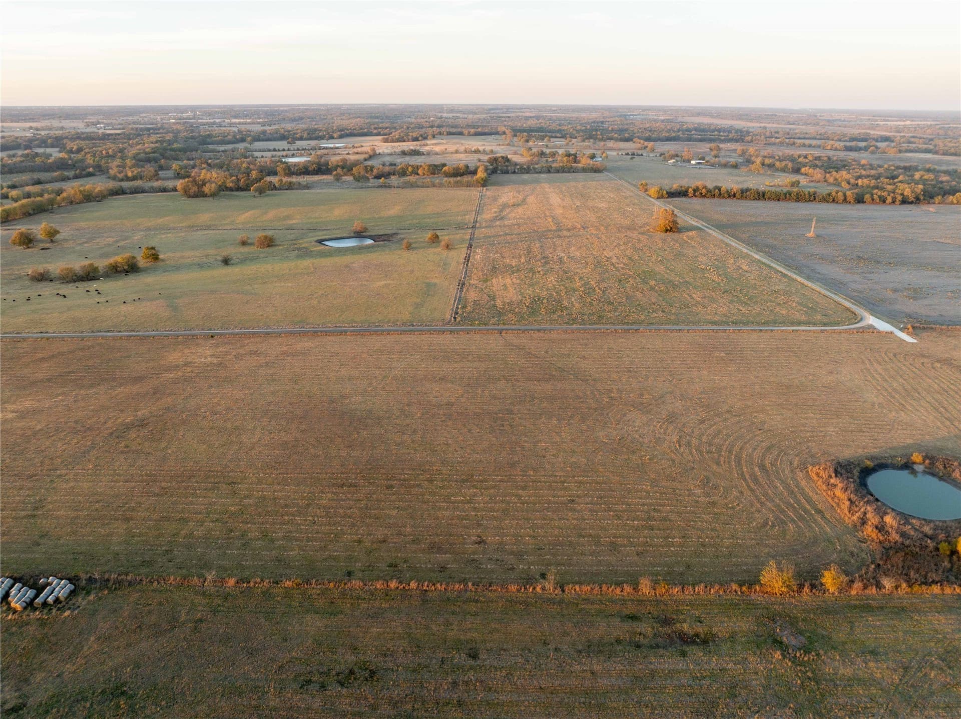2 acres in Lamar County - photo 4