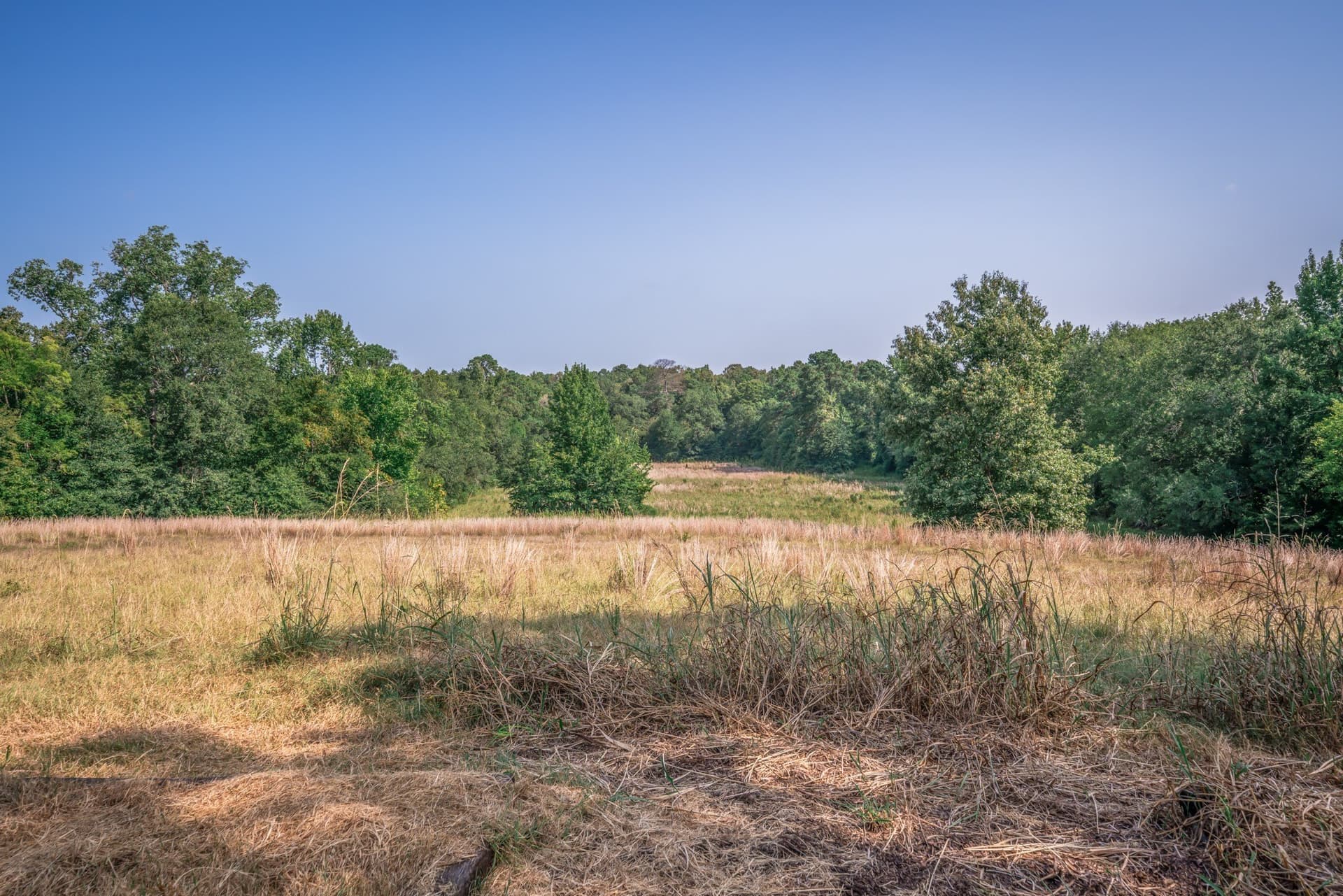 17.2 acres in Rusk County - photo 21