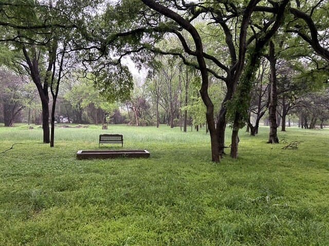 10 acres in Bosque County - photo 28