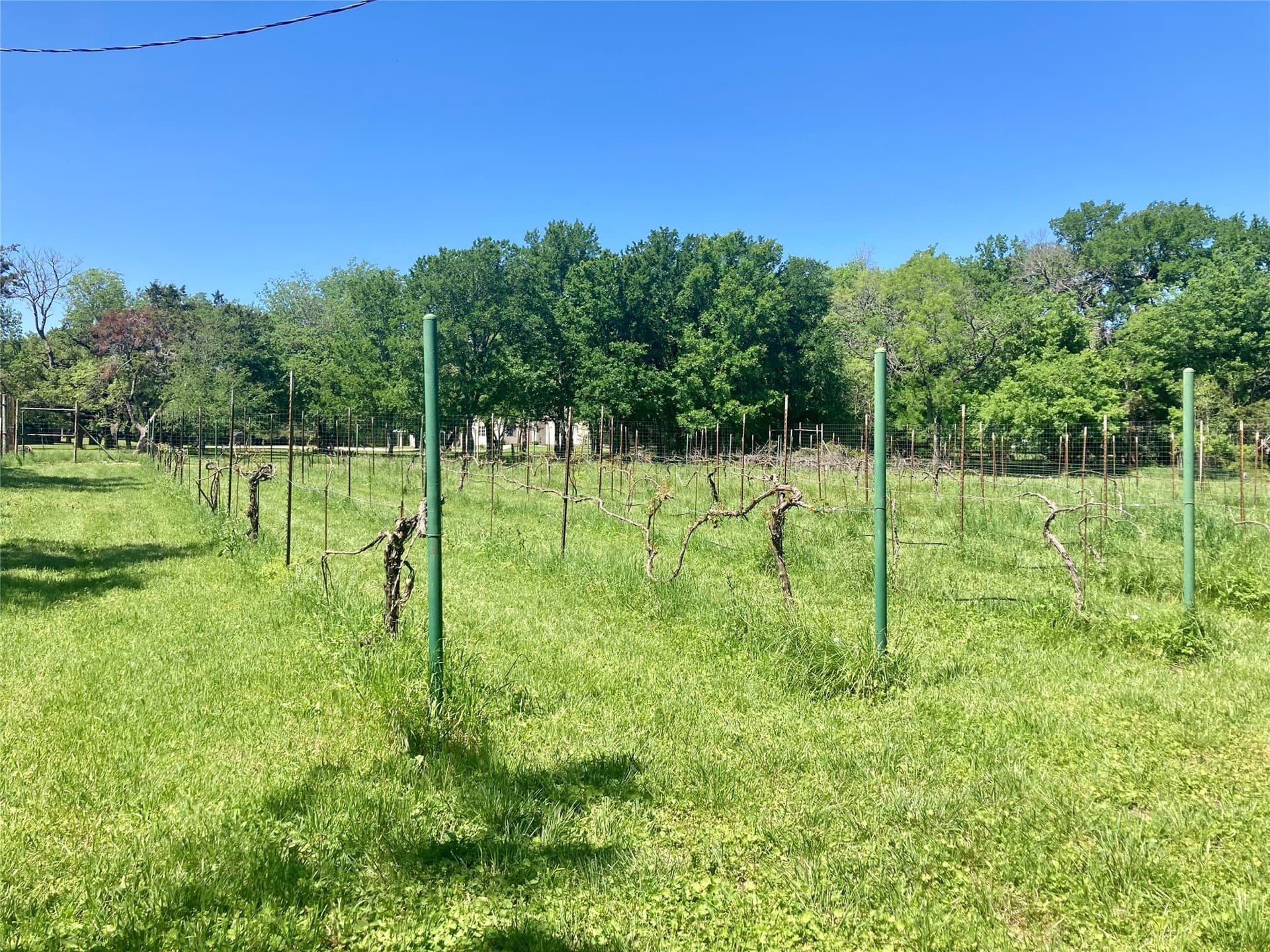 10 acres in Bosque County - photo 3