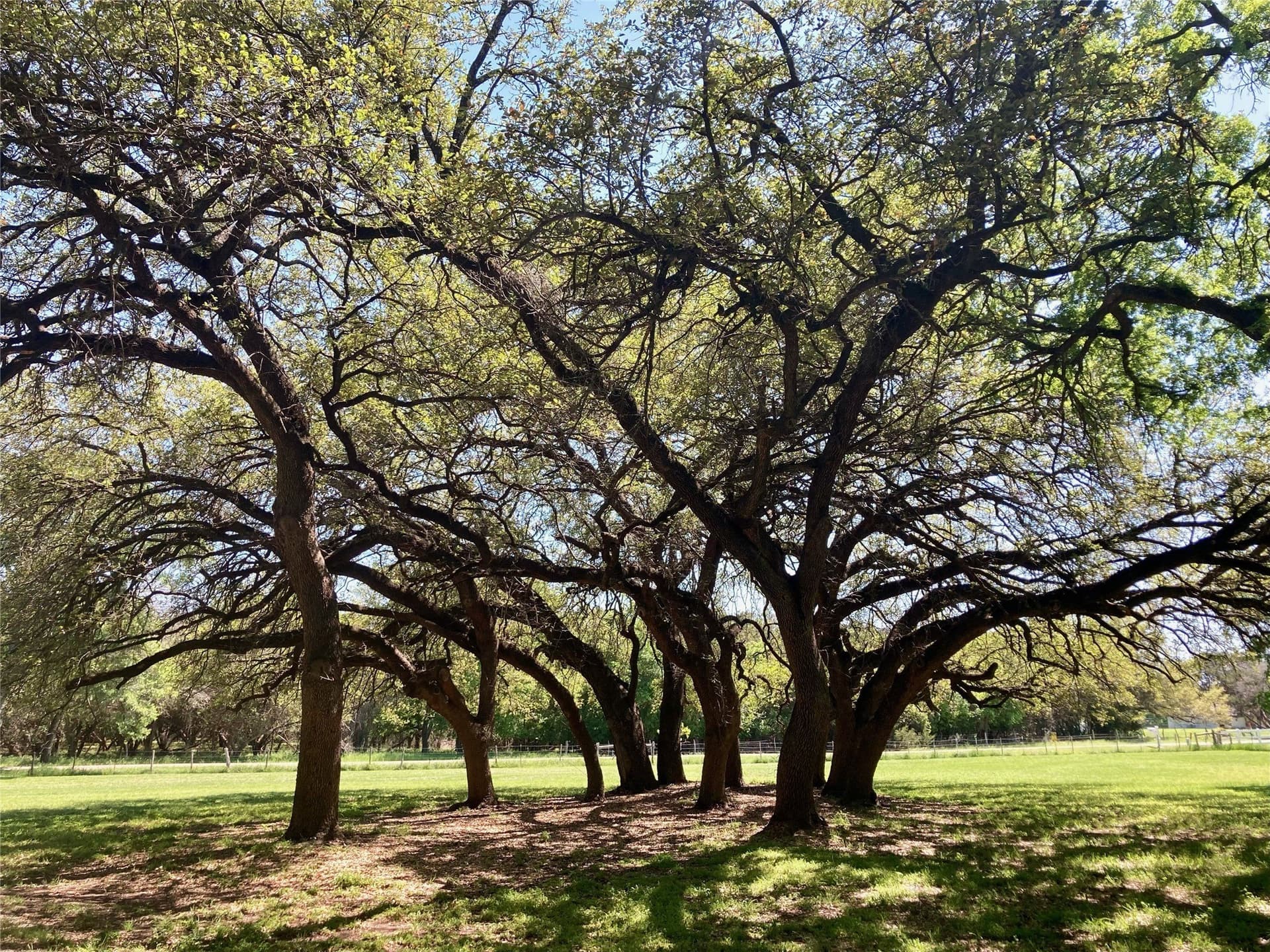 10 acres in Bosque County - photo 4