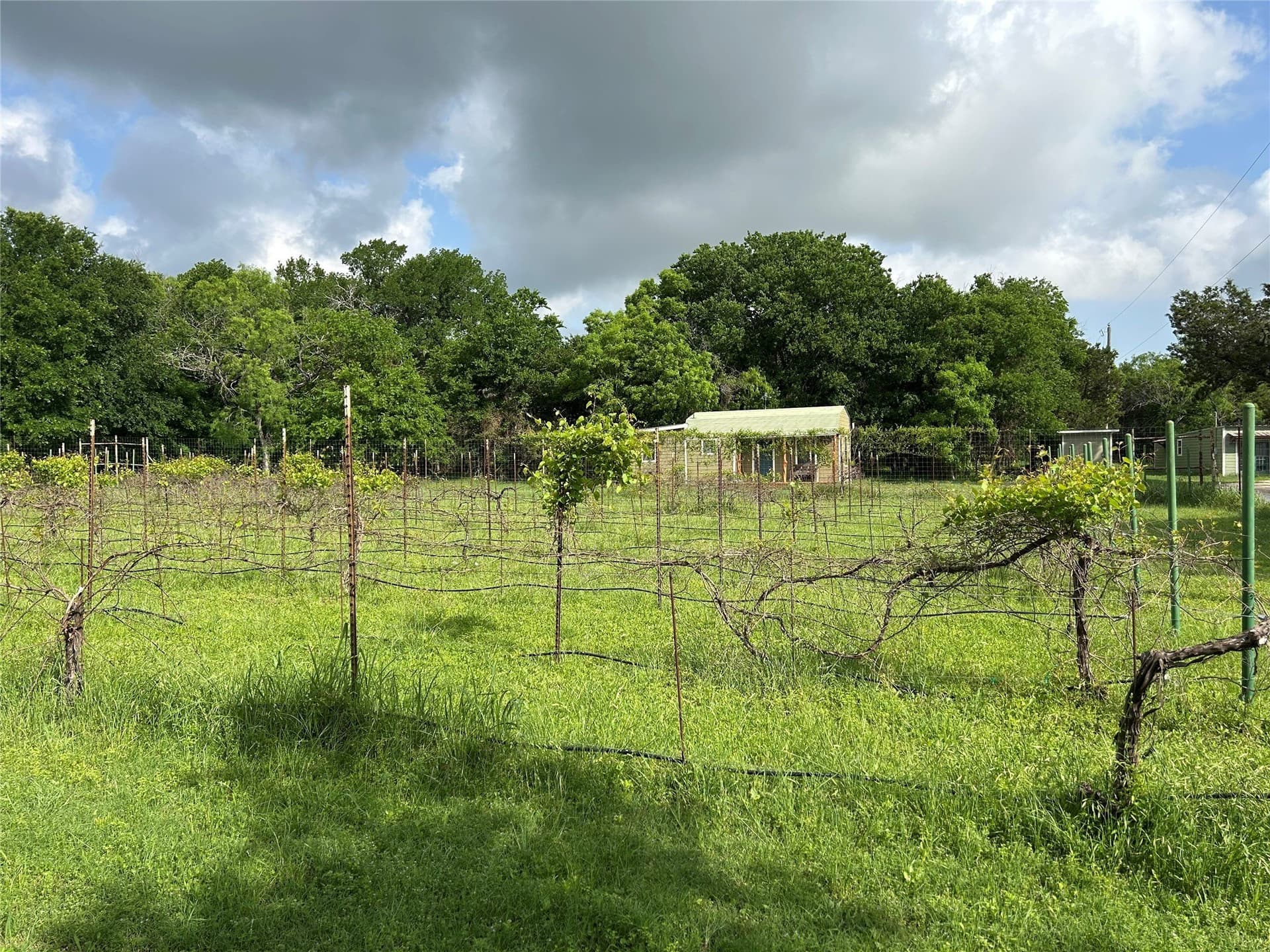 10 acres in Bosque County - photo 9