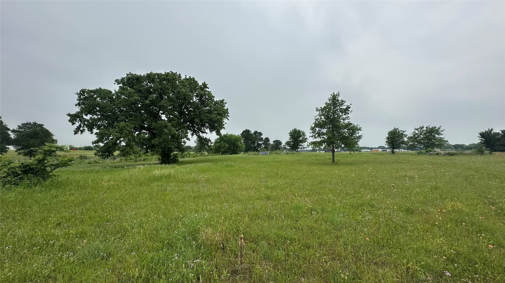 20.29 acres in Limestone County - photo 10