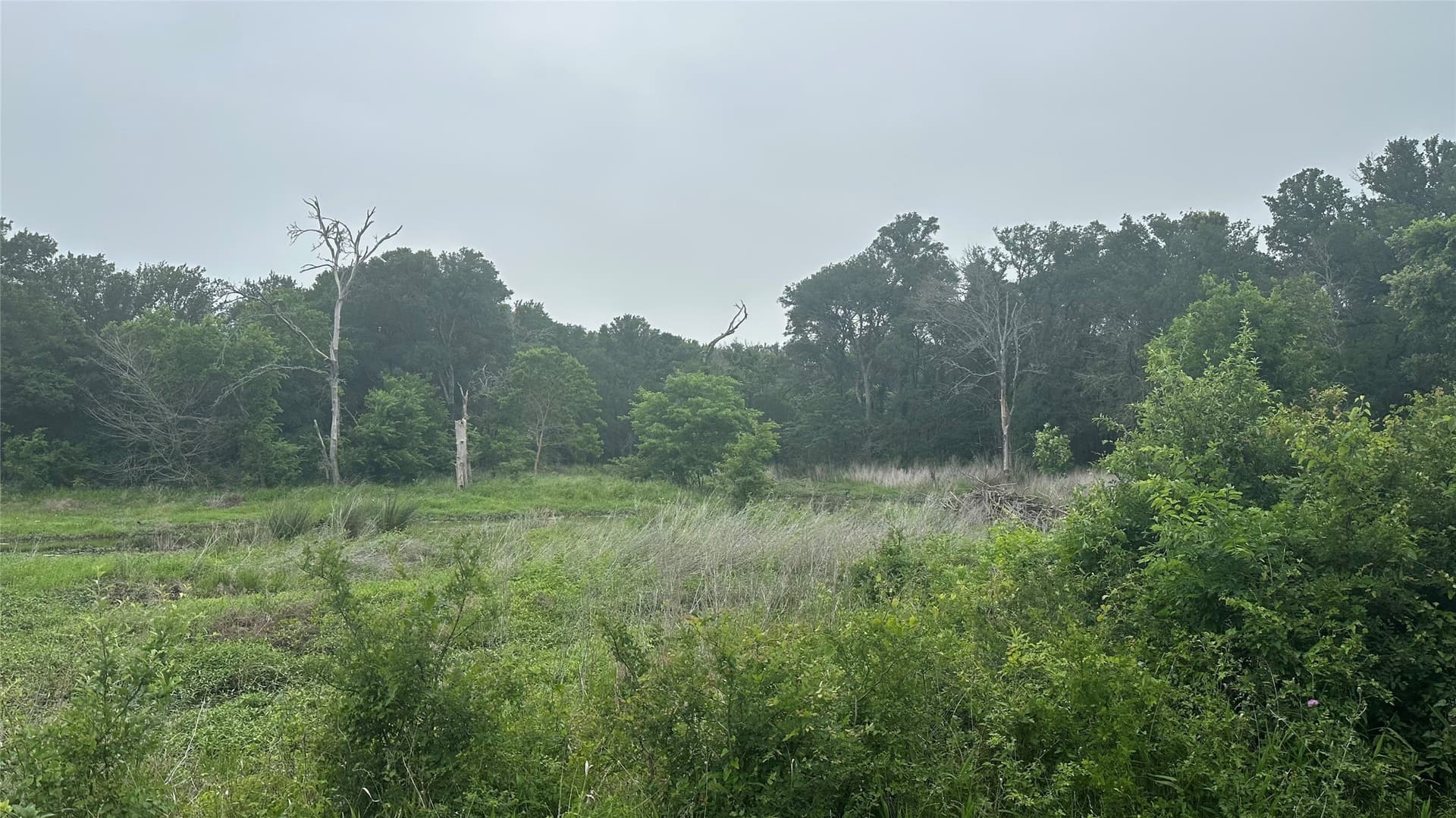 20.29 acres in Limestone County - photo 12